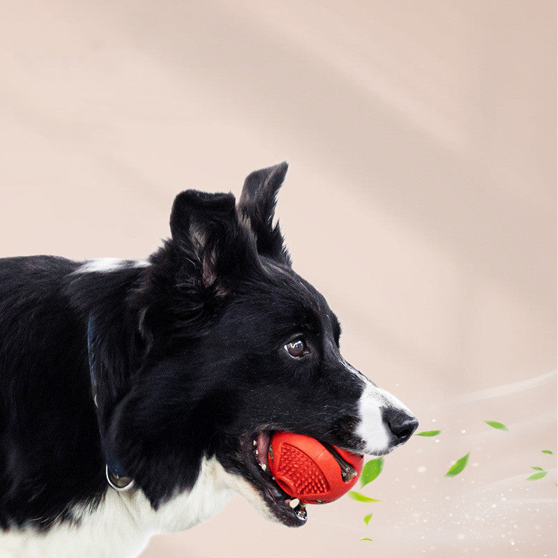 Aktiverande tuggboll för hund, fyll med godis. Minskar tristess, tillfredsställer tuggbehov.