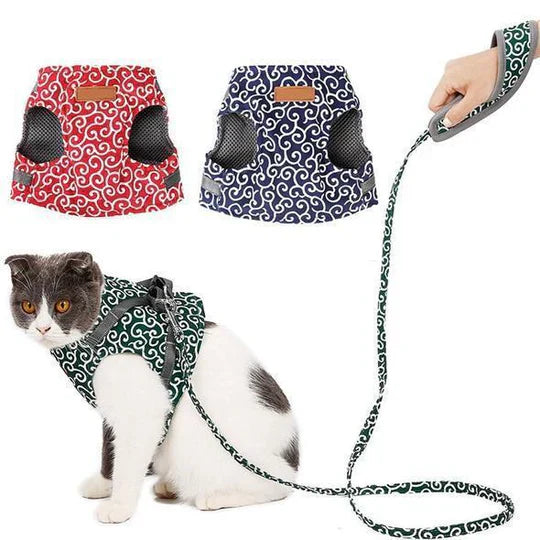 Blå och röd andningsaktiv kattsele med koppel. Mesh-material för bekväma & säkra kattpromenader.