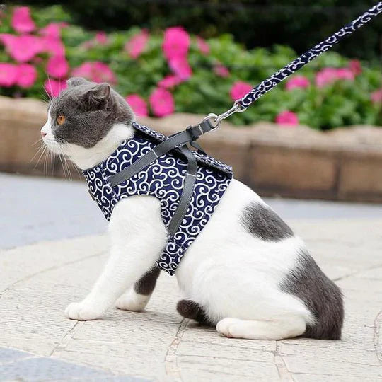 Platt lagd bild på blå andningsaktiv kattsele med reflexdetaljer och koppel, redo för utomhusbruk.