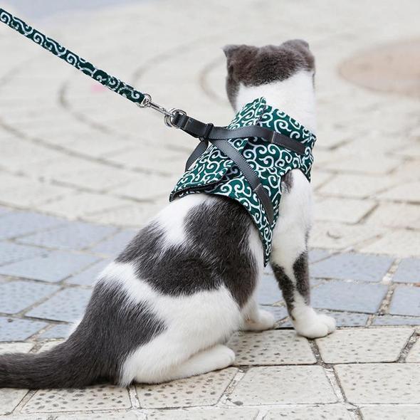 Nyfiken katt undersöker en bekväm blå andningsaktiv promenadsele, redo för roliga kattpromenader.