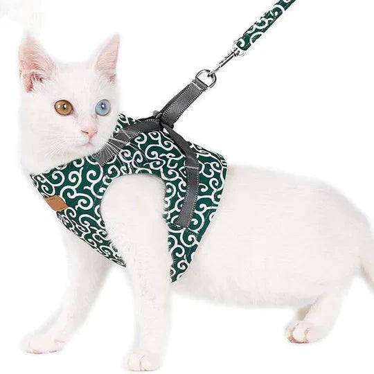 Baksidan av en andningsaktiv blå kattsele på en liten katt, visar säker passform och koppelinfästning.