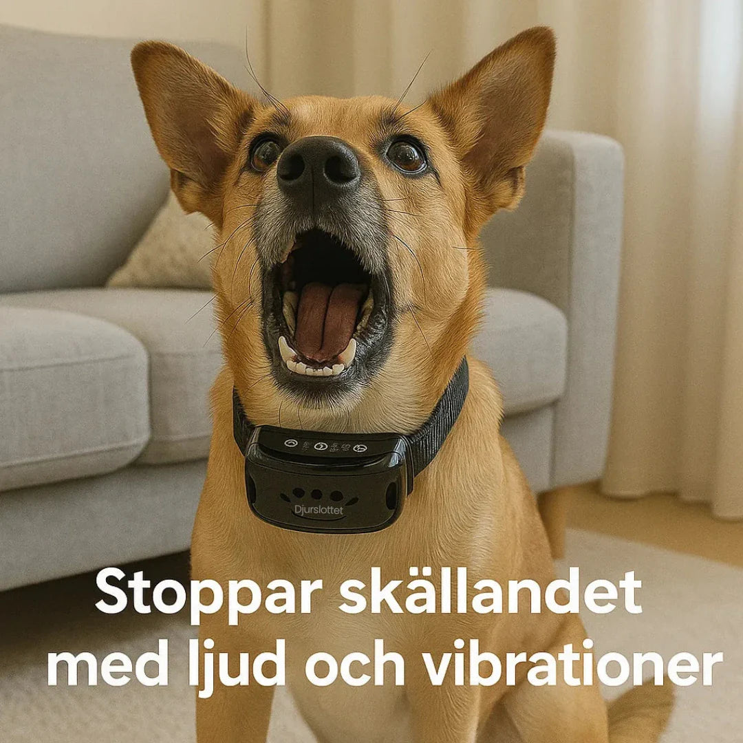 Justerbart vibrationshalsband för hundträning, inklusive fjärrkontroll.