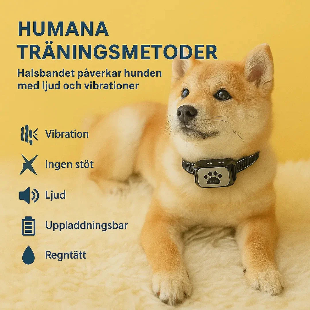 Fjärrkontroll till antiskällhalsband, för enkel och responsiv skällkontroll.