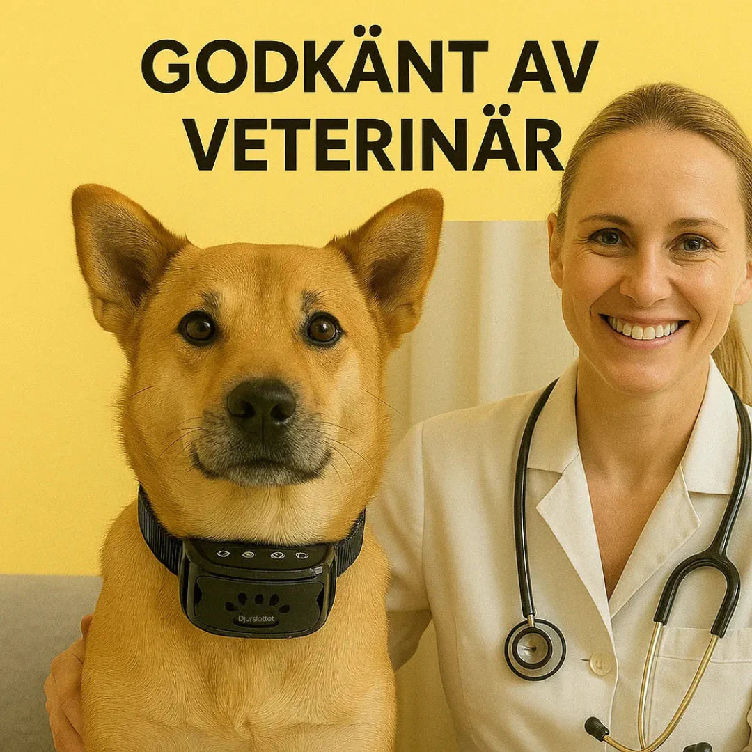 Husdjurstillbehör: antiskällhalsband som stödjer hundträning och skällkontroll.