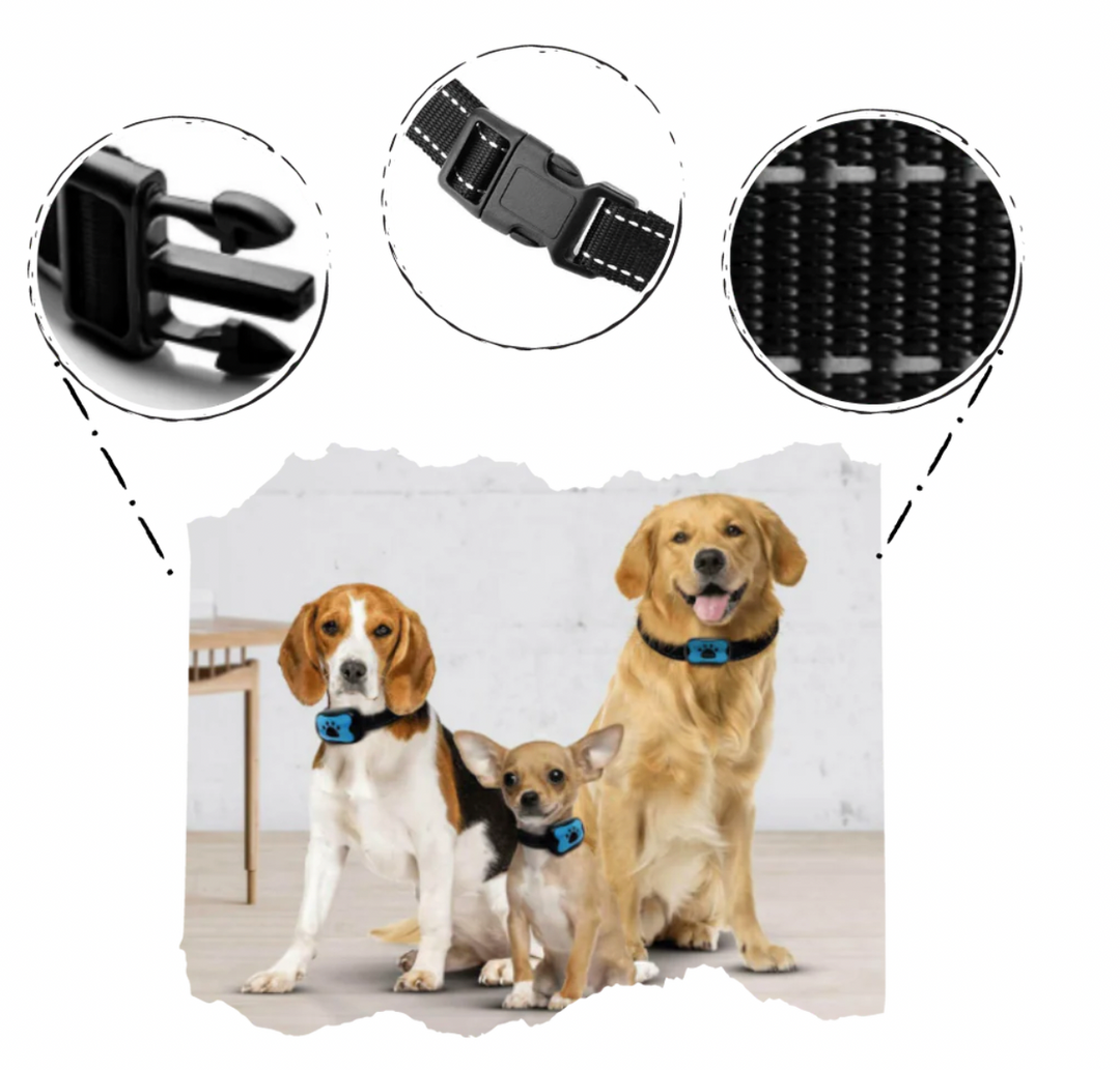 Antiskällhalsband med säker och skonsam vibrationsfunktion för hundar.