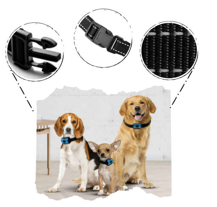 Antiskällhalsband med säker och skonsam vibrationsfunktion för hundar.
