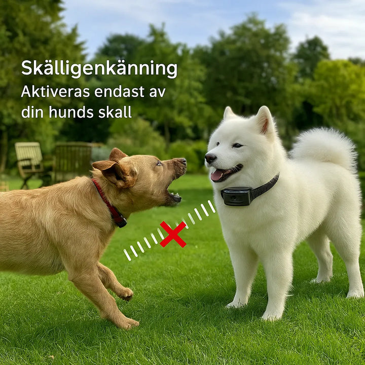 Träningshalsband för hundar, bidrar till ett lugnare och fredligare hundliv.