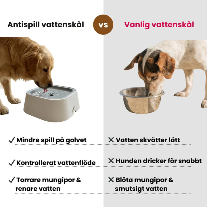 Smart antispill vattenskål som håller golvet torrt, perfekt för alla husdjur. Rent hem.