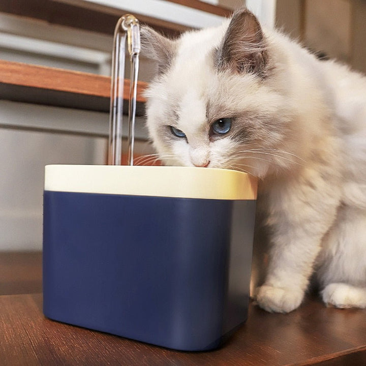 Tyst 1.5L dricksfontän för katt och hund, filtrerar vattnet för bättre djurhälsa.