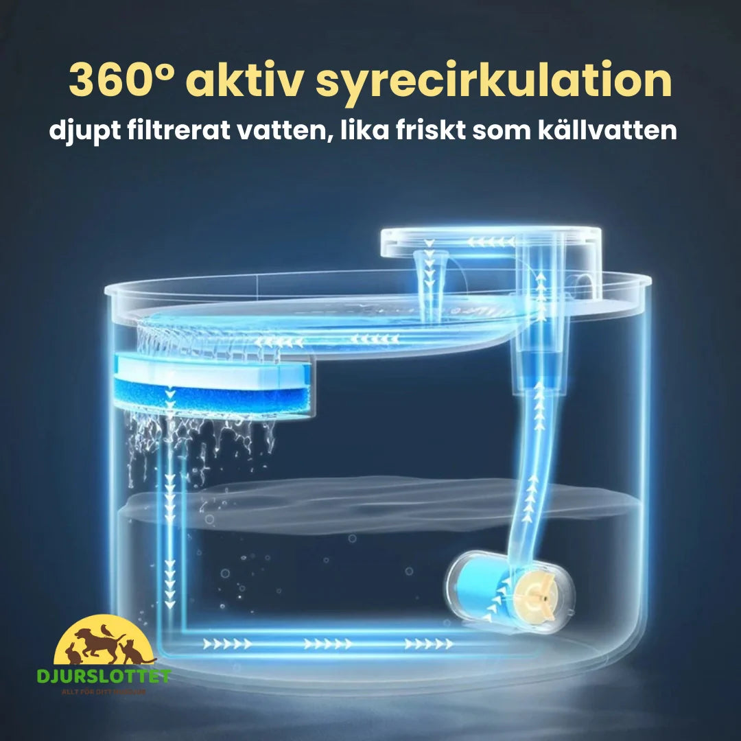 Katt njuter av fräscht vatten från en tystgående 3 liters husdjursfontän.
