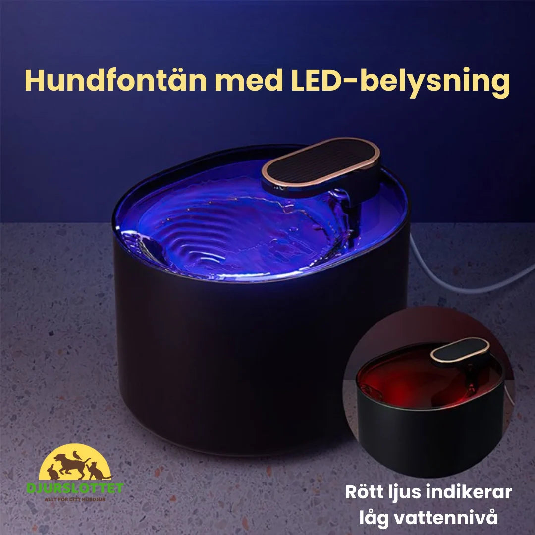 Detaljbild på automatisk djurfontän som cirkulerar fräscht vatten. Idealisk för katt & hund.
