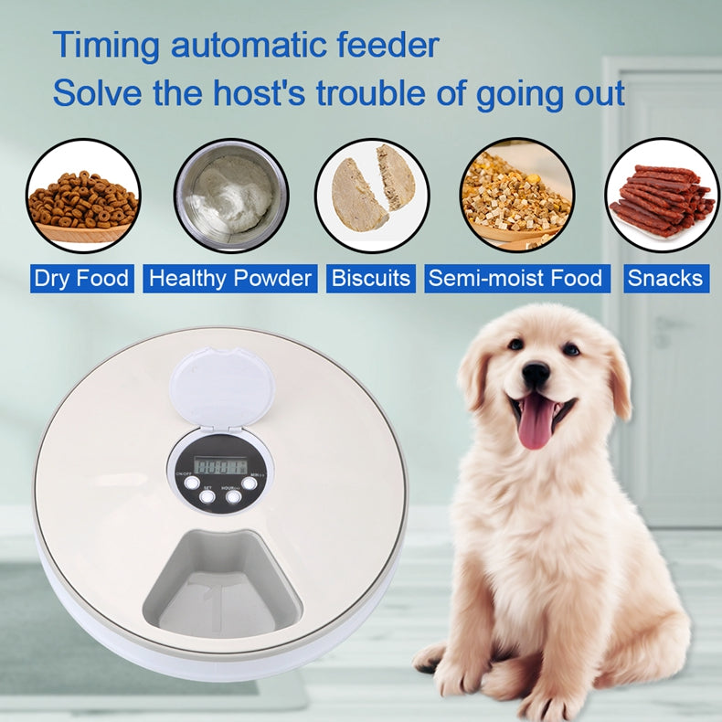 Automatisk kattmatare med timer i vit design. Enkel portionsmatning för din katt när du är borta.