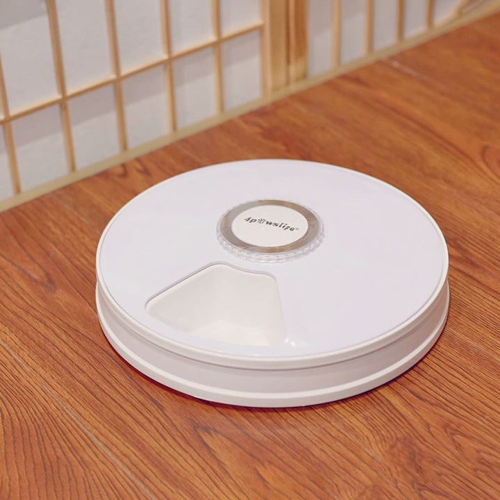 Modern automatisk kattmatare med timer för enkel och hälsosam portionsmatning. Ett måste för kattägare.