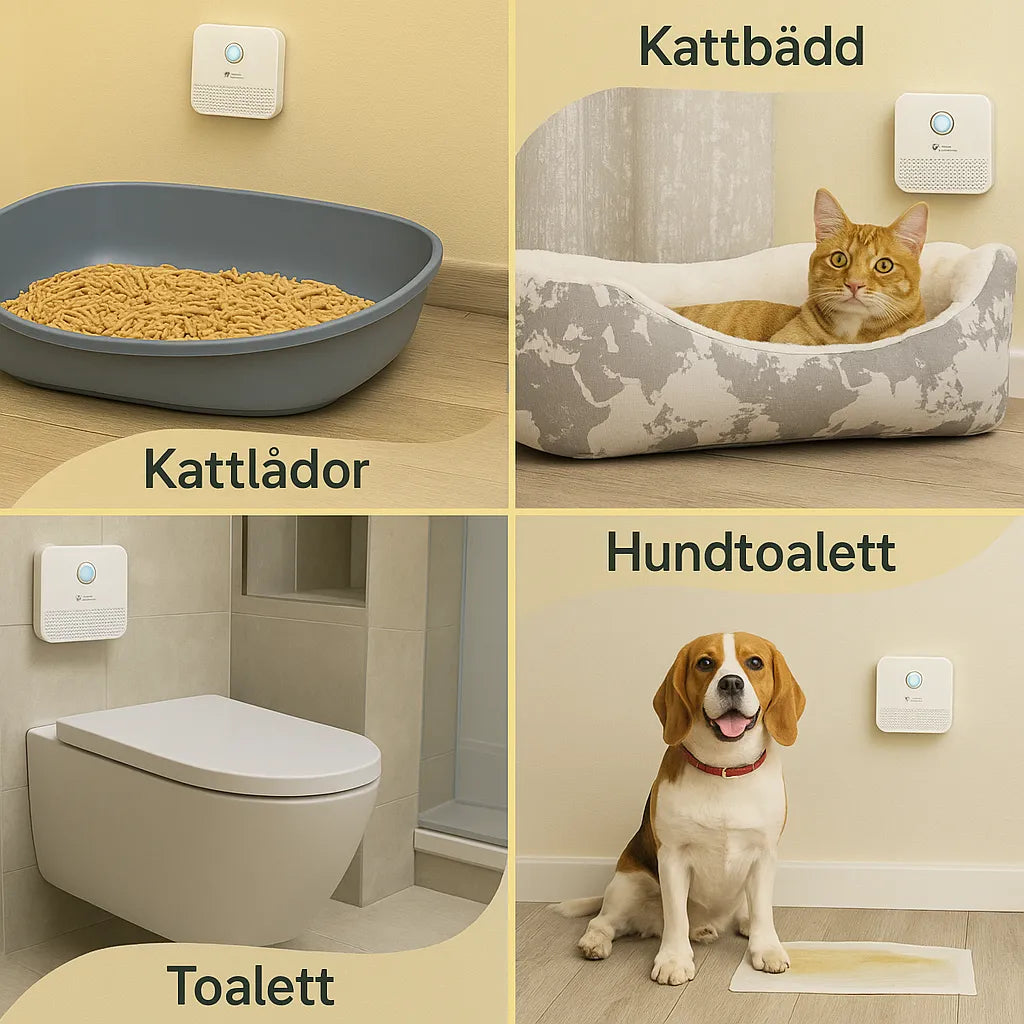 Effektiv luktneutraliserare för kattlådan. Ger ren luft och bättre husdjursvård.