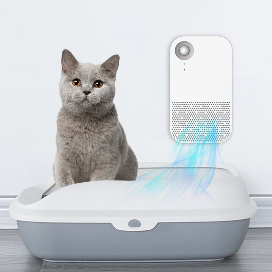 Kattlådans bästa vän: Automatisk luftrenare mot dålig lukt. Ren och fräsch hemma.