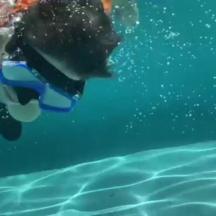 Snygg design på AquaClear dykmask för både dam och her