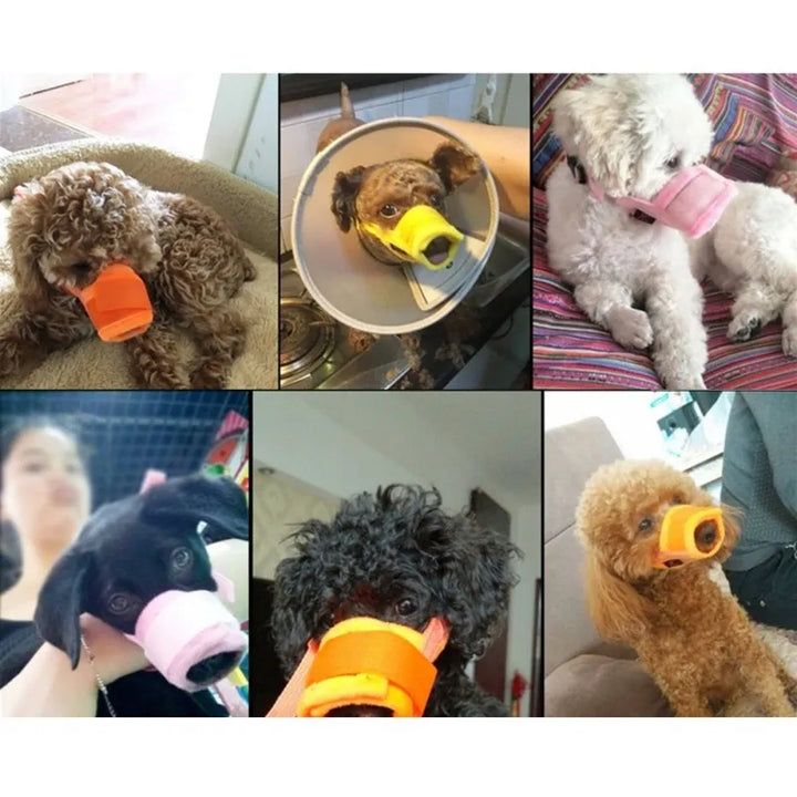 Detaljbild på hundmuzzle i tåligt nätmaterial som andas; designad för hundens välbefinnande.