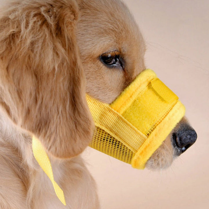 Hundmuzzle av nätmaterial; perfekt för din hunds komfort och ventilation, ett viktigt hundtillbehör.