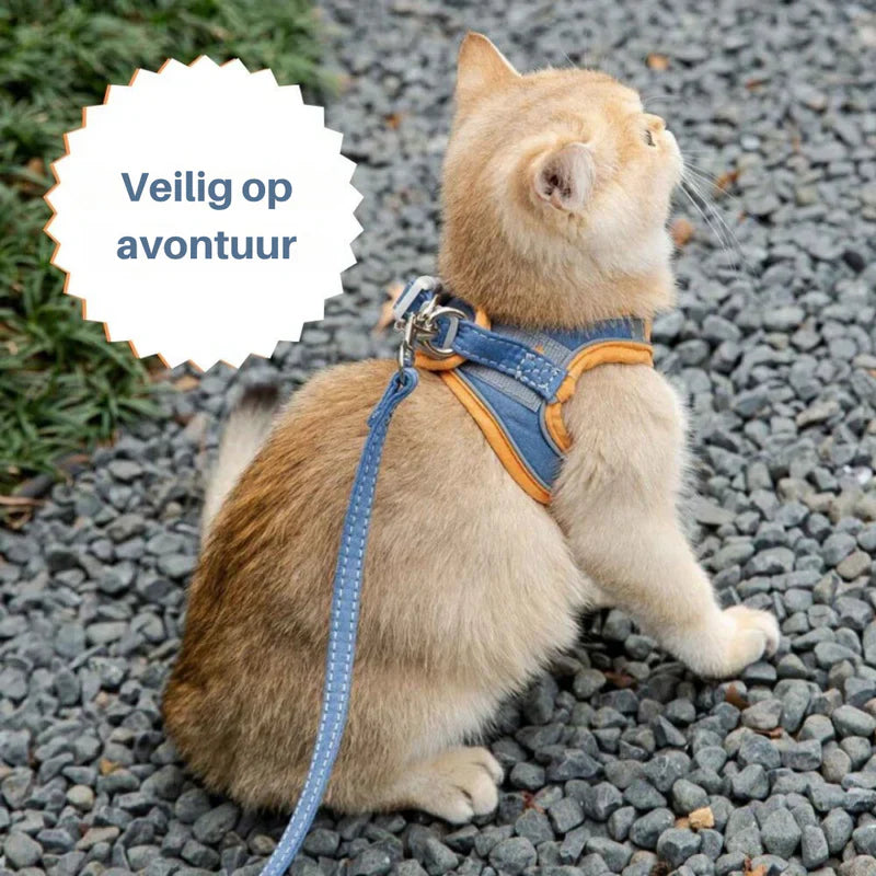 Elegant kattsele som kombinerar stil med säkerhet, justerbar för perfekt passform.