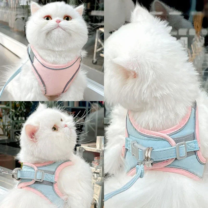 Bekväm och justerbar sele för en trygg upplevelse för din katt på nya äventyr.