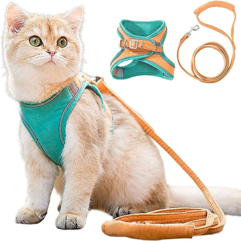 Justerbar promenadsele för katt, ergonomisk design för bekväma äventyr för din pälsvän.