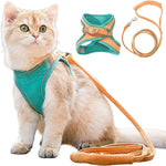 Orange - teal