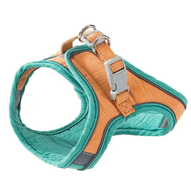 Ergonomisk sele för stora katter, justerbar och bekväm för långa utflykter i naturen.