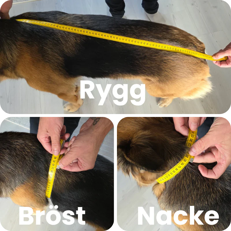 Mjuk och varm hundhoodie i fleece för alla hundar. Slitstarka hundkläder som erbjuder maximal komfort.