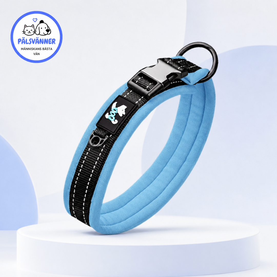Bekvämt justerbart neopren hundhalsband för alla hundar. Mjukt & slitstarkt promenadhalsband.