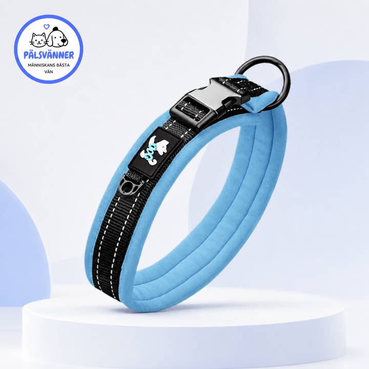 Bekvämt justerbart neopren hundhalsband för alla hundar. Mjukt & slitstarkt promenadhalsband.
