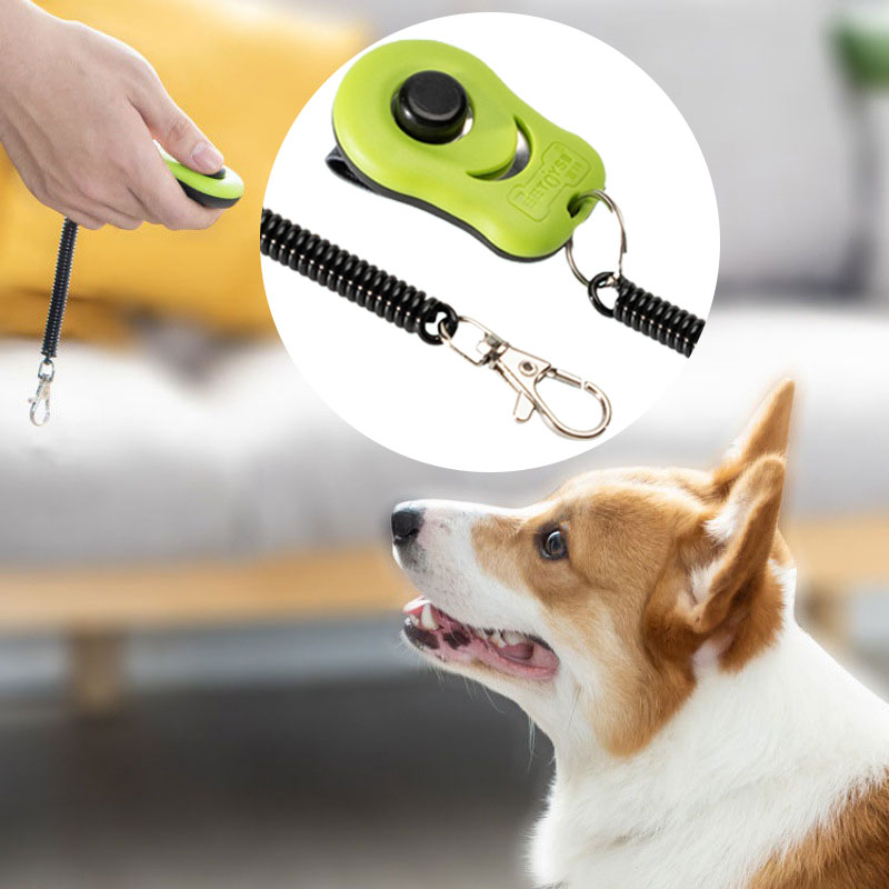 Blå hundträningsklicker, närbild, för effektiv lydnad och fokus vid valpträning.