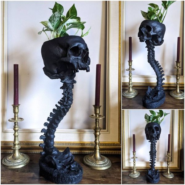 Unik skalle kruka i mörk design perfekt för halloween och växter
