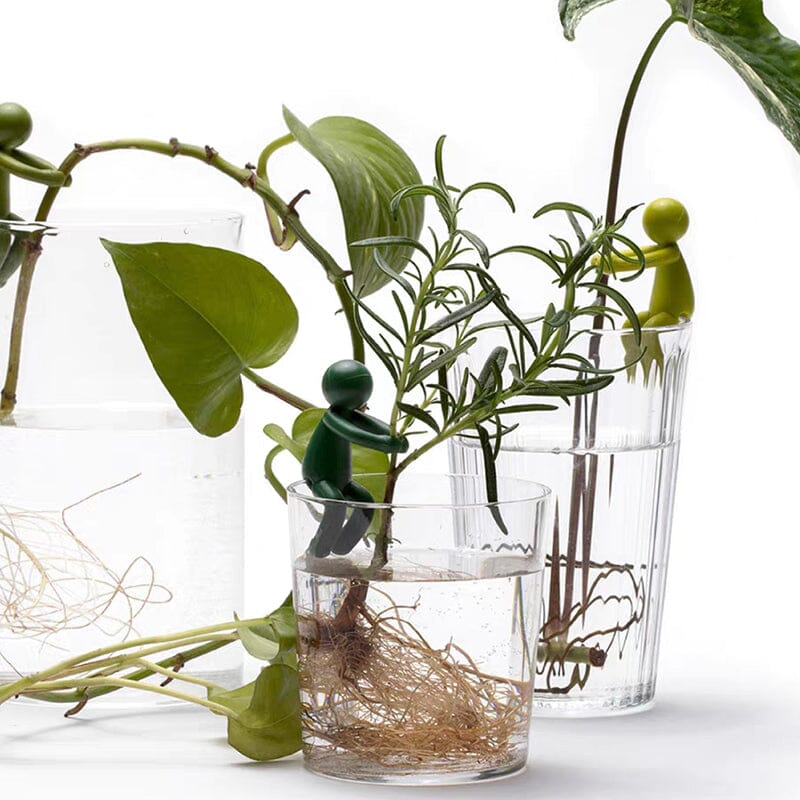 "Charmigt växtstöd för unga stjälkar i plast, ger estetiskt och funktionellt stöd till inomhusträdgårdar."