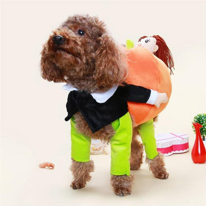 "Chic Halloween hunddräkt med livfull pumpadesign i mjuk sammet, perfekt för små till stora hundar. Justerbar passform."