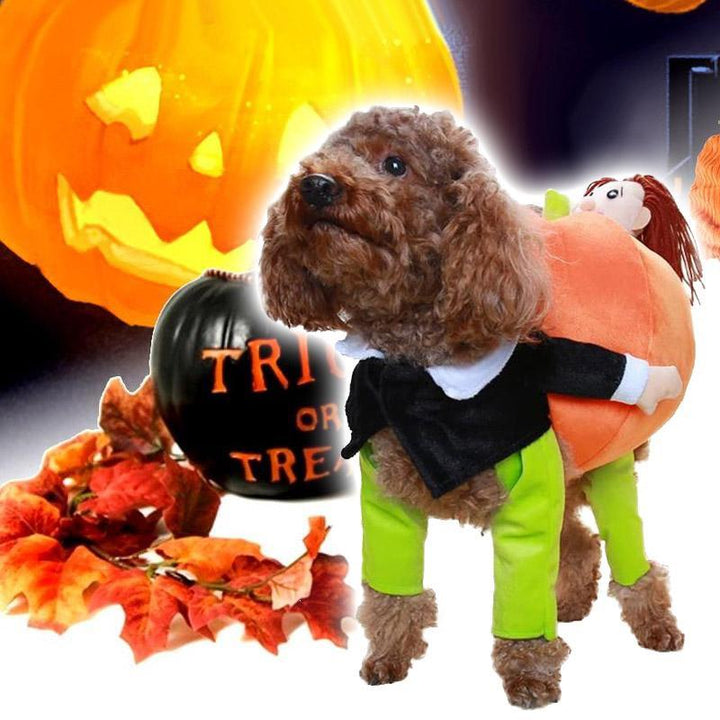 "Chic Halloween hunddräkt med livfull pumpadesign i mjuk sammet, perfekt för små till stora hundar. Justerbar passform."