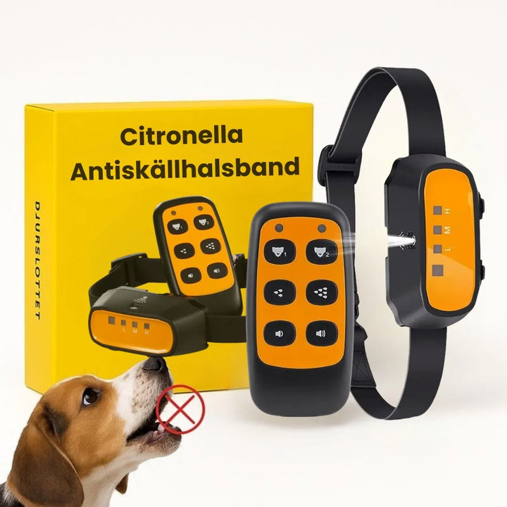 Citronella antiskällhalsband för hundar, detaljbild av spraymunstycke. Effektiv skällkontroll.