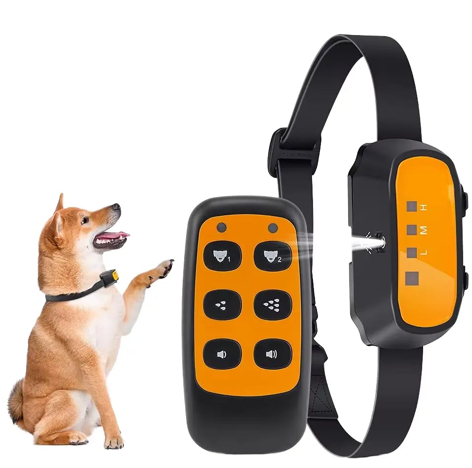 Familj njuter av tyst stund med sin hund tack vare citronella antiskällhalsband för fredfullt hem.