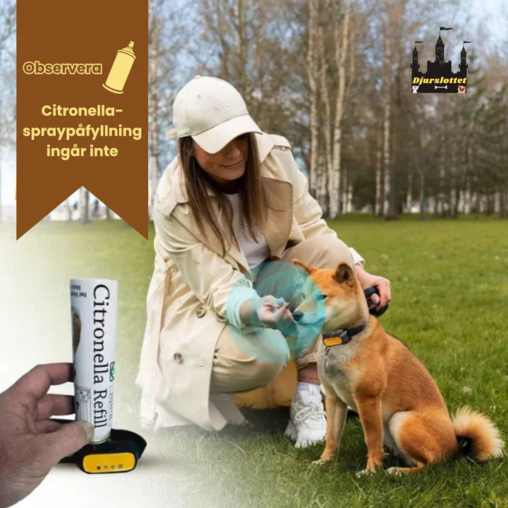 Hundars antiskällhalsband med citronella och fjärrkontroll för enkel hundträning och skällkontroll.