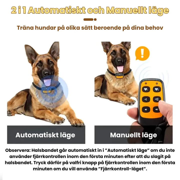 Lugn hund bär citronella antiskällhalsband, bidrar till fredfullt hem och djurvälfärd.