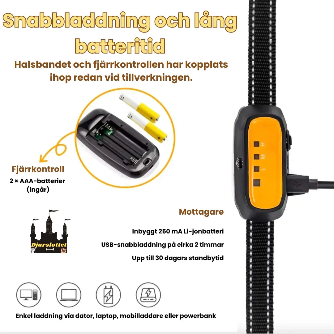 Nytt citronella antiskällhalsband och fjärrkontroll. Komplett kit för skonsam hundträning.