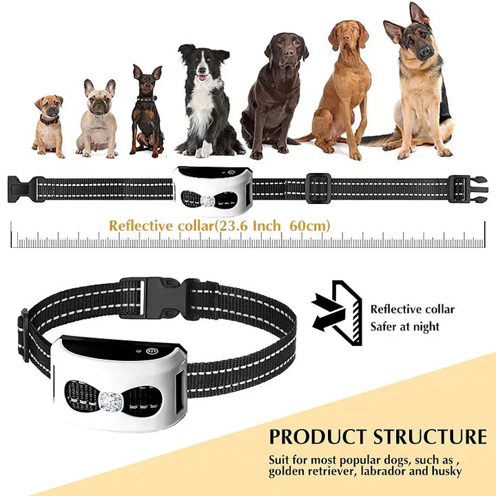 Justerbart reflekterande halsband som passar olika hundraser
