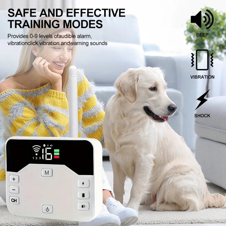 Husdjurstillbehör visar trådlöst hundstaket och elektroniskt halsband