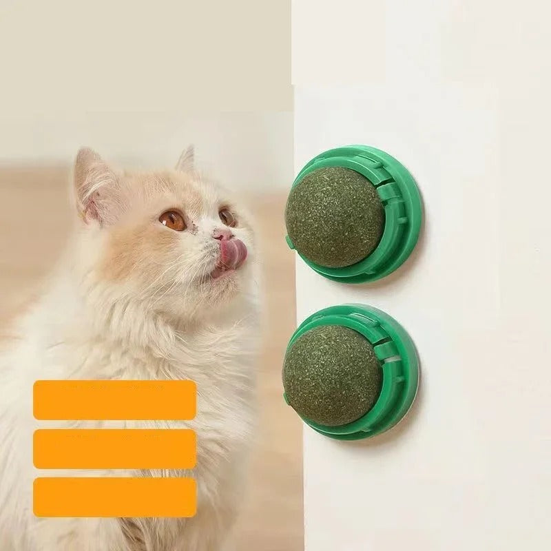 Två gröna kattmyntabollar fästa på en vit vägg bredvid en katt