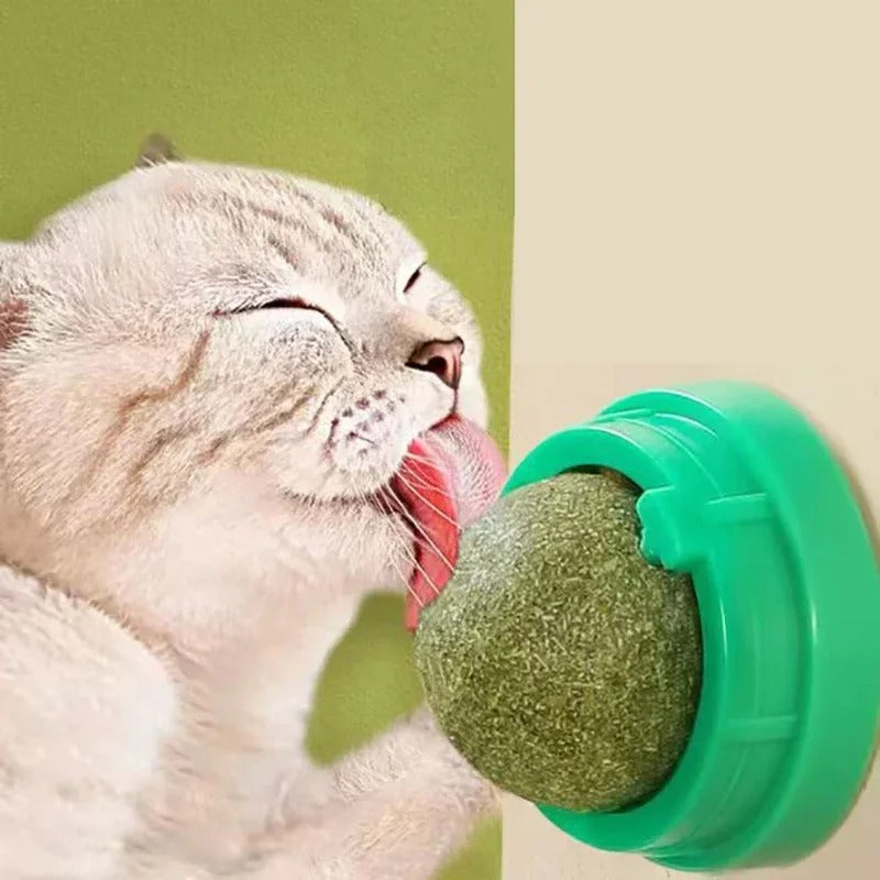 Katt som slickar på roterande kattmyntaboll monterad på vägg