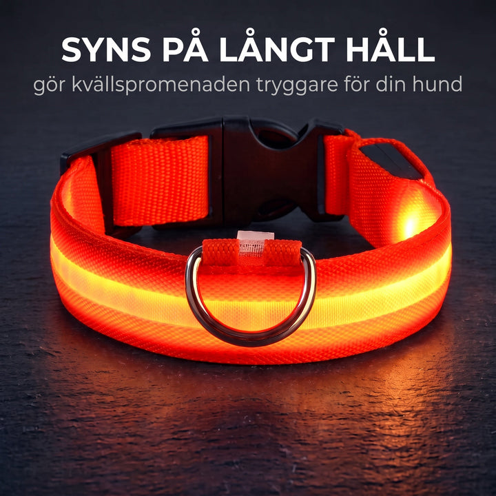 Närbild på Zvarelo LED-halsband med texten syns på långt håll som visar dess säkerhetsfunktioner