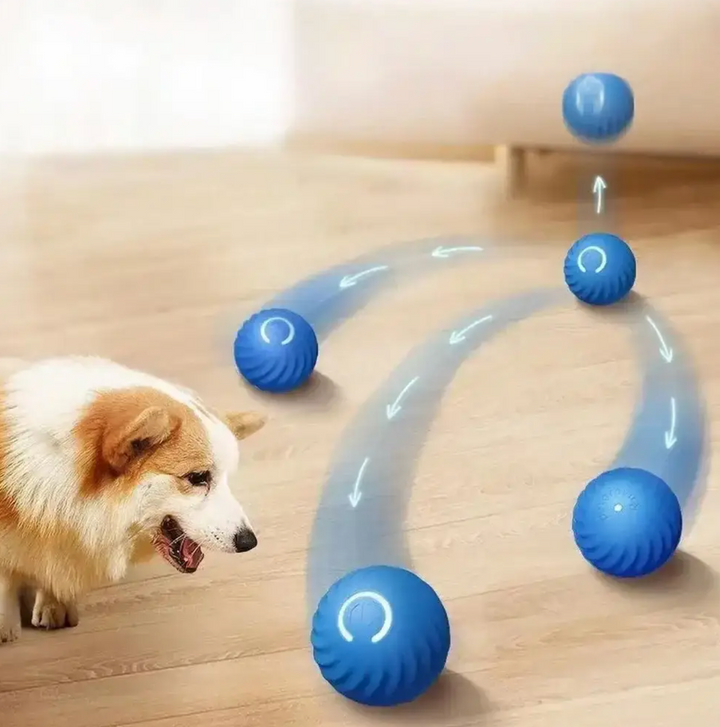 Blå aktiv rullande boll som rör sig på golvet bredvid en hund