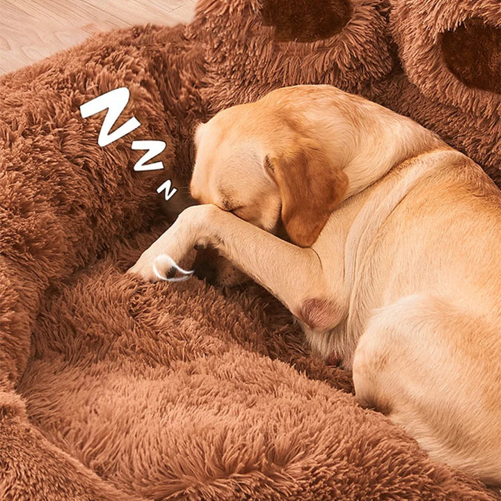 Brun hundbädd med mjuk plysch där en labrador sover sött med tassen för ansiktet.