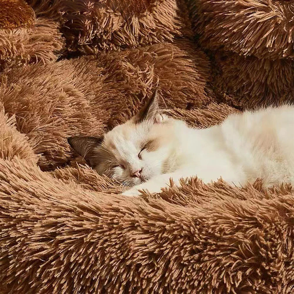 Mysig brun hundbädd med fluffig textur där en söt katt ligger och sover djupt.