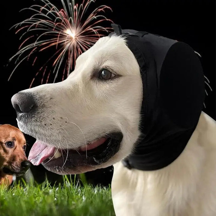 Hundöronmuffar för effektiv bullerdämpning och ökat lugn i stressiga miljöer