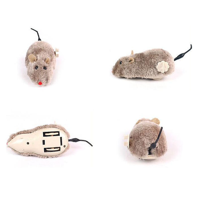 Katt leker glatt med en elektrisk musleksak; optimal för inomhusaktivitet och att väcka jaktinstinkten.